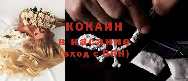 PSILOCYBIN Алзамай