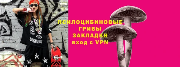 PSILOCYBIN Алзамай