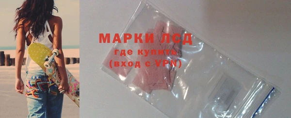 PSILOCYBIN Алзамай