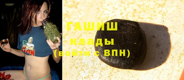 PSILOCYBIN Алзамай