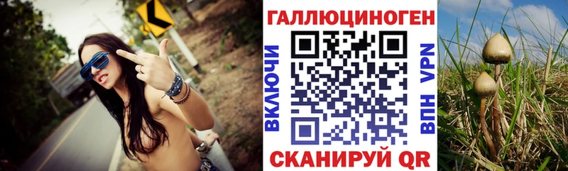 Псилоцибиновые грибы прущие грибы  как найти закладки  Черноголовка 