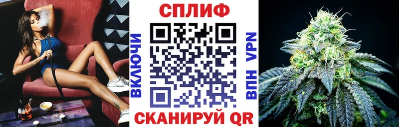 МАРИХУАНА тримм OMG Черноголовка сколько стоит